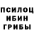 Галлюциногенные грибы мицелий Giovanni Foti