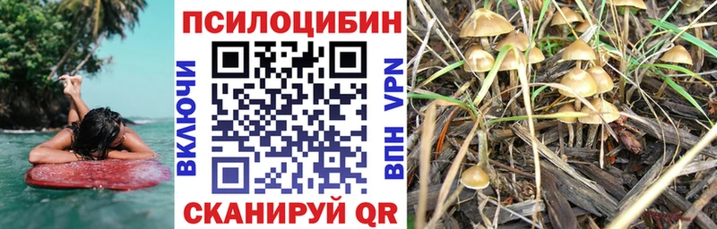 где найти   Маркс  Галлюциногенные грибы GOLDEN TEACHER 