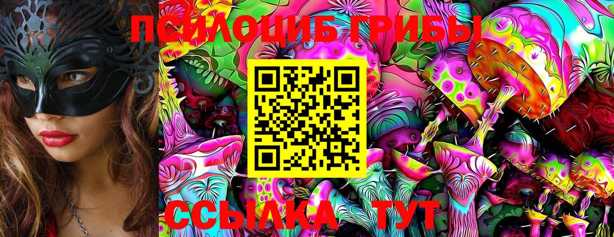 Маркс  Галлюциногенные грибы прущие грибы  Вход с VPN 