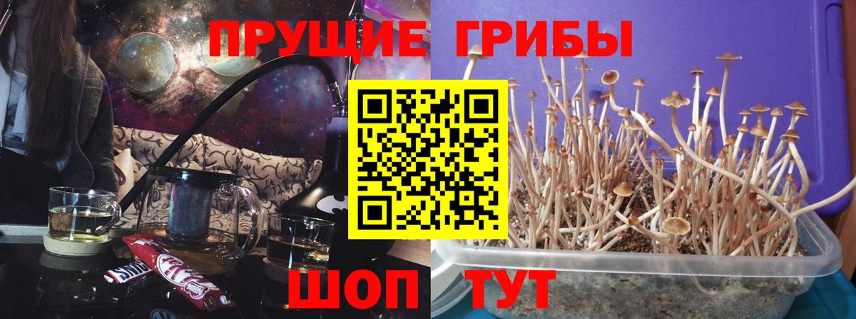 Псилоцибиновые грибы Magic Shrooms Маркс